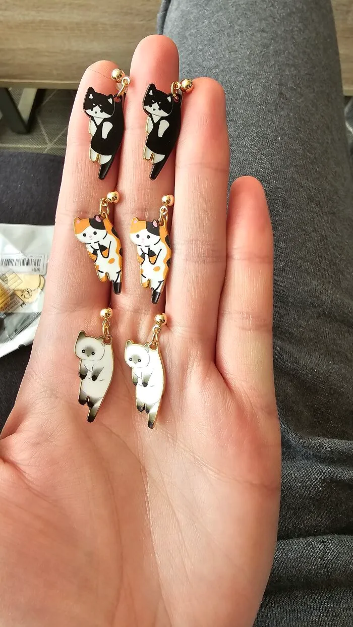 Cats And More Cats!