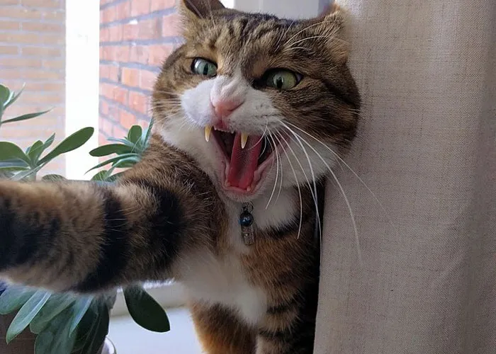 34 Subtle Red Flags That Indicate Someone Is A Bad Person