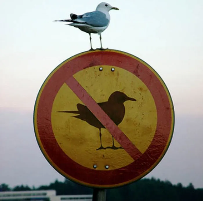 32 Of The Funniest Sign Fails You Won't Believe Actually Happened