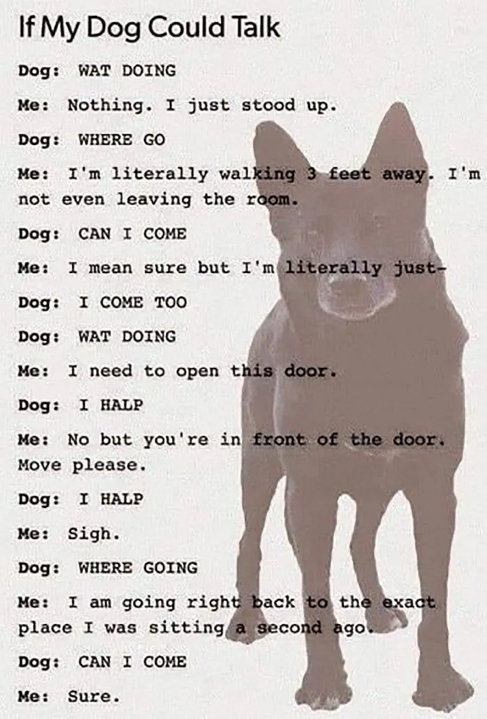 ‘Awkward Animals’: 50 Pics ‘For Animal Lovers Of All Kinds’