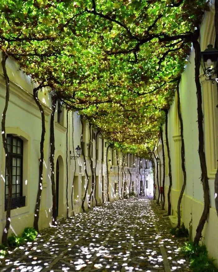 30 Awesome Examples Of Landscaping Done Right