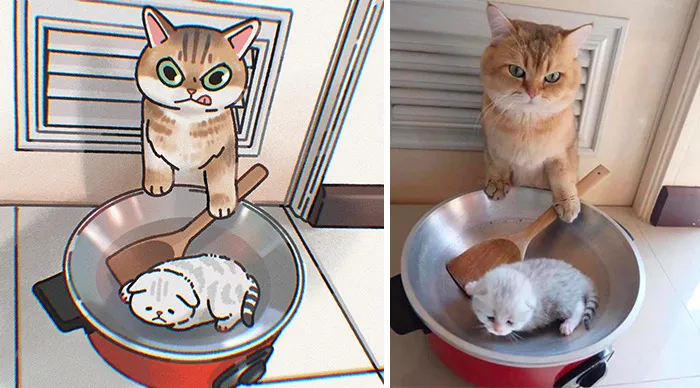 Funny Images Of Cats Found On The Internet Get Transformed Into Cute Illustrations By This Artist (31 Pics)