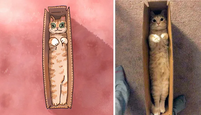 Funny Images Of Cats Found On The Internet Get Transformed Into Cute Illustrations By This Artist (31 Pics)