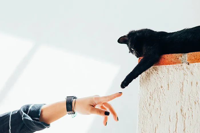30 Pequeños detalles que hicieron sonreír a la gente