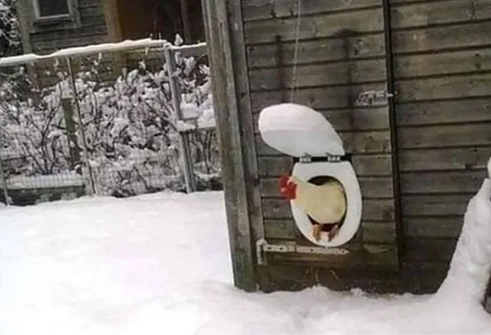50 Things In Places They Shouldn’t Be That Are Both Hilarious And Concerning (New Pics)