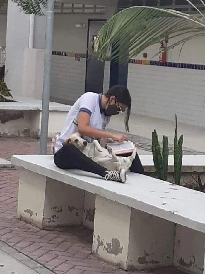 50 Fotos cómicas y extrañas de animales en lugares «donde no deberían estar» (nuevas imágenes)