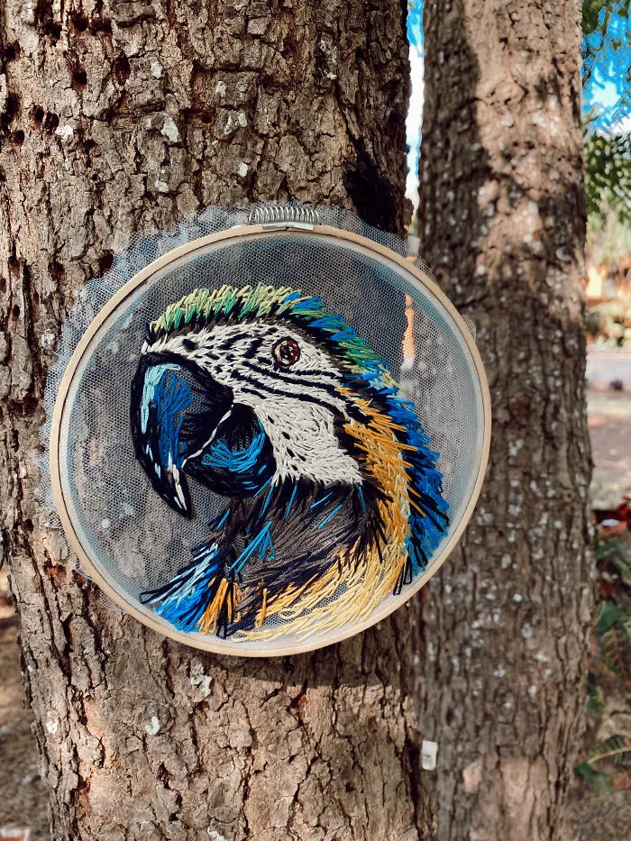 The Blue Macaw