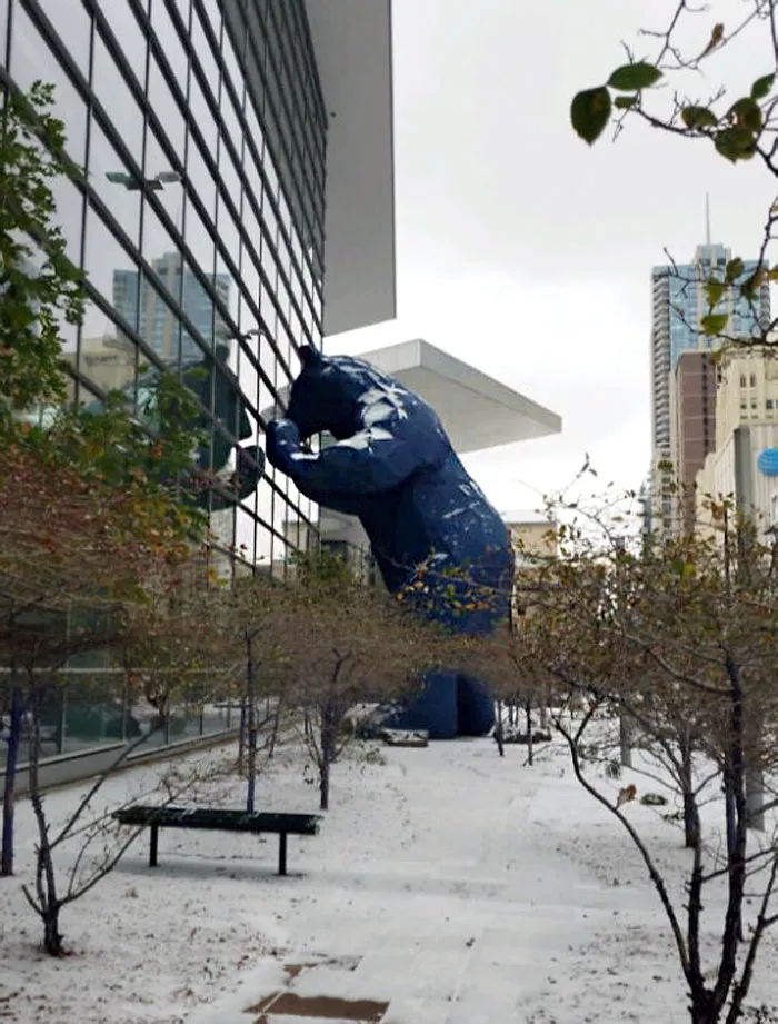 A Bear Statue I Found In Denver, Colorado. Yes It's Looking Into The Building