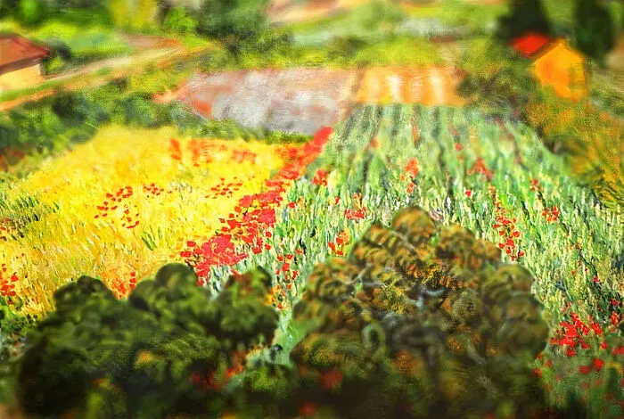 Field With Poppies, 1889