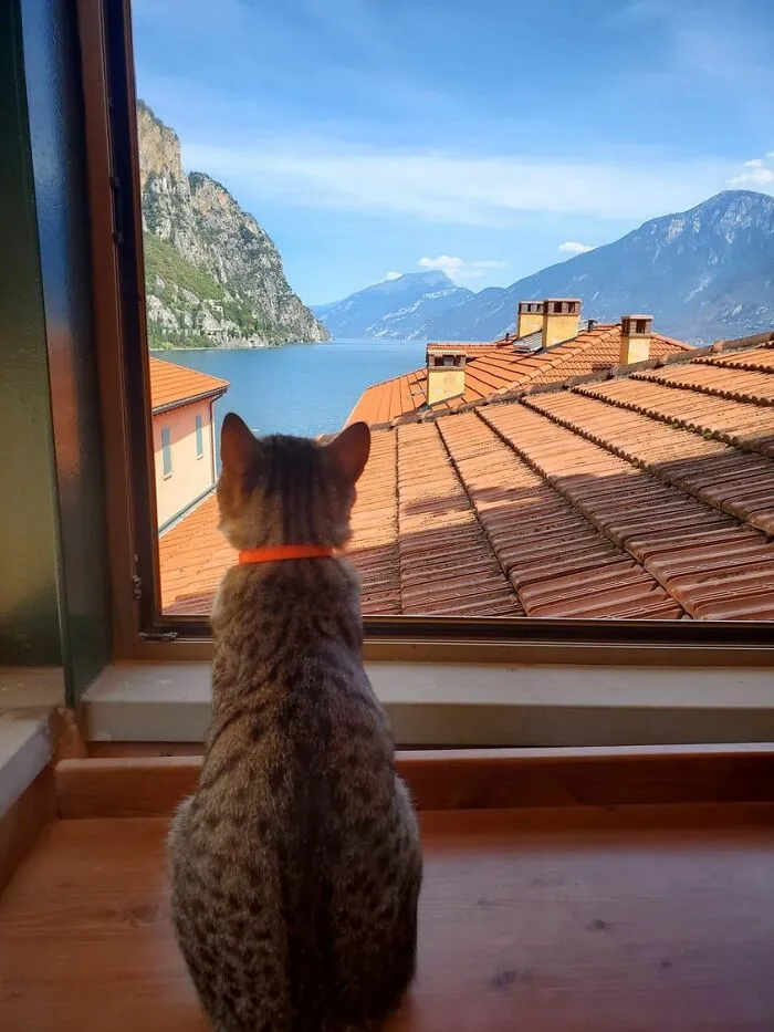 View From The Window Of My Father's Home Campione Del Garda  Garda Lake, Italy