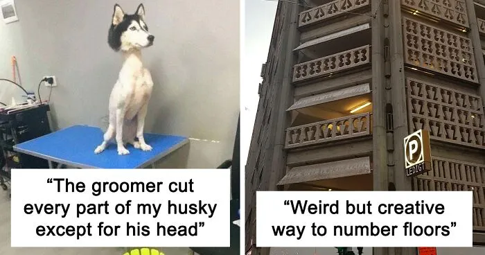 30 Weird Ways To Get Creative, As Shared On This Online Group