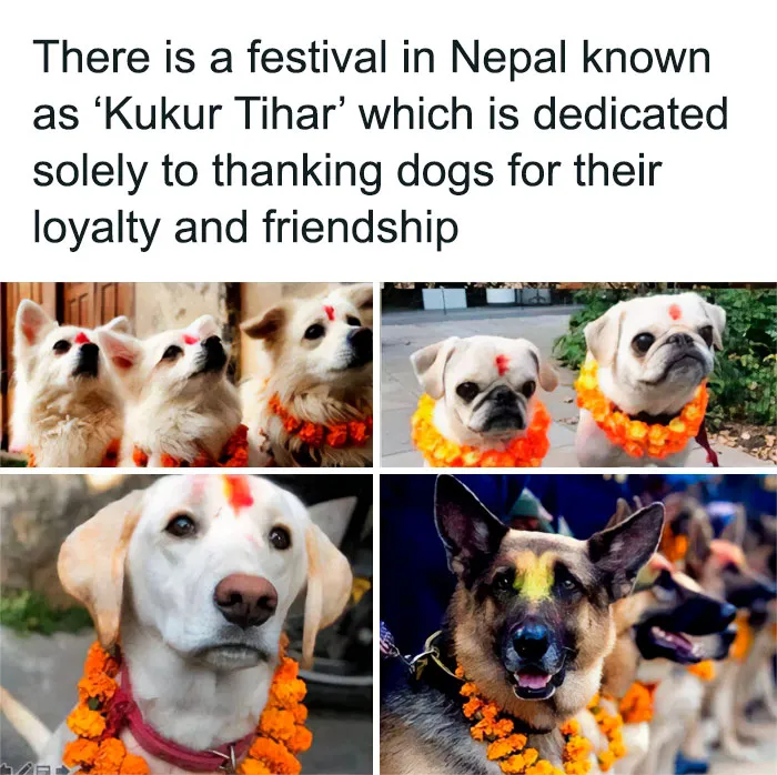 50 Positive And Wholesome Pieces Of News Shared On This IG Page That Might Make Your Day (New Pics)