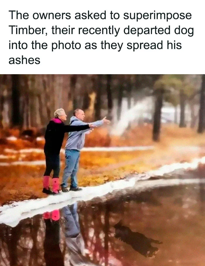 30 Wholesome Pics To Remind You There's Good In The World, As Shared On "Blessed Imageposting"