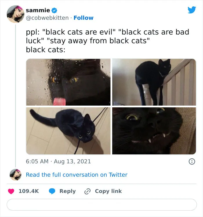 30 Wholesome Pics To Remind You There's Good In The World, As Shared On "Blessed Imageposting"