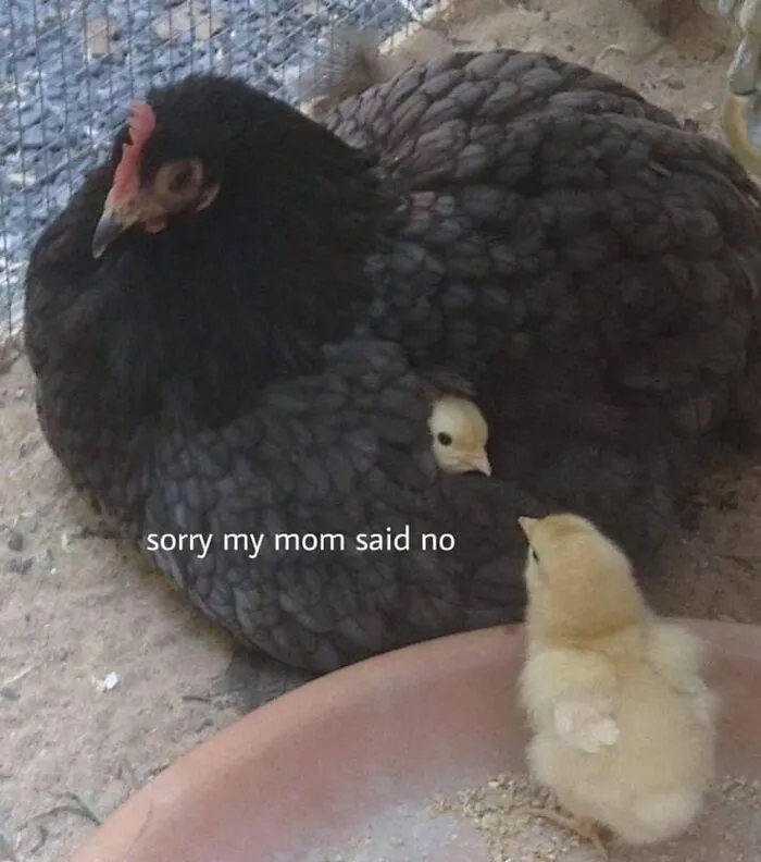 30 Wholesome Pics To Remind You There's Good In The World, As Shared On "Blessed Imageposting"