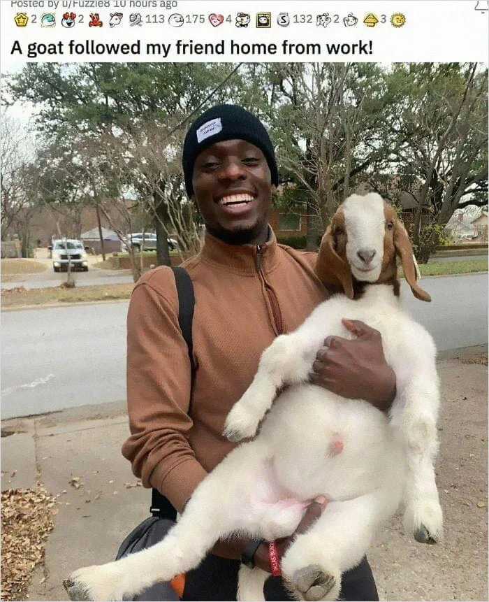 30 Wholesome Pics To Remind You There's Good In The World, As Shared On "Blessed Imageposting"