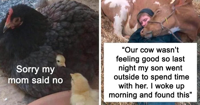 30 Wholesome Pics To Remind You There's Good In The World, As Shared On "Blessed Imageposting"