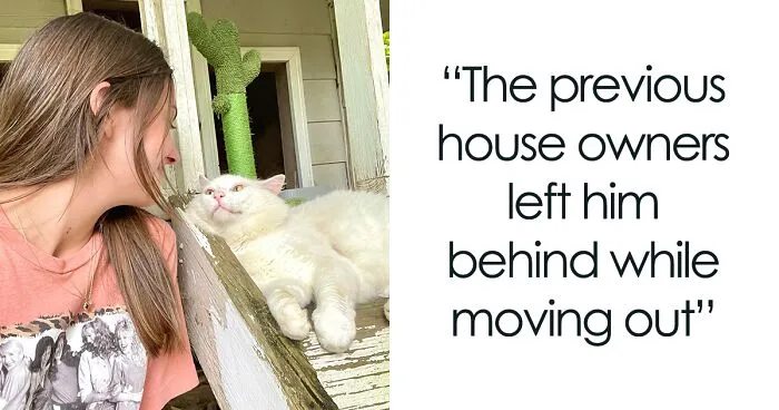 Meet Coop, A Cat Abandoned By His Owners Who Found His New Loving Family