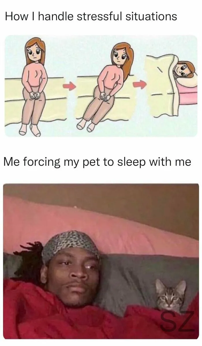“Female Problems”: 50 Humorous Posts And Memes That Will Probably Resonate With Women Of All Walks Of Life