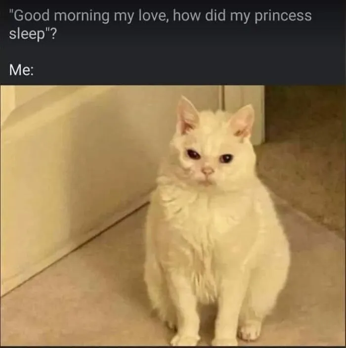 “Female Problems”: 50 Humorous Posts And Memes That Will Probably Resonate With Women Of All Walks Of Life