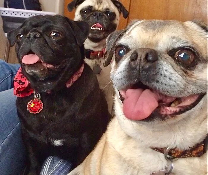 Triple Threat!