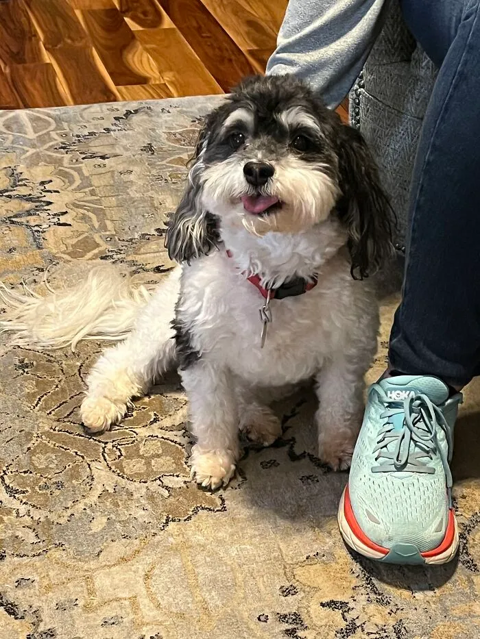Loves His New Haircut!