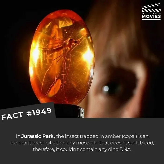 This Instagram Account Shares Little-Known Facts About Films And The Movie Industry, Here Are The 30 Most Interesting