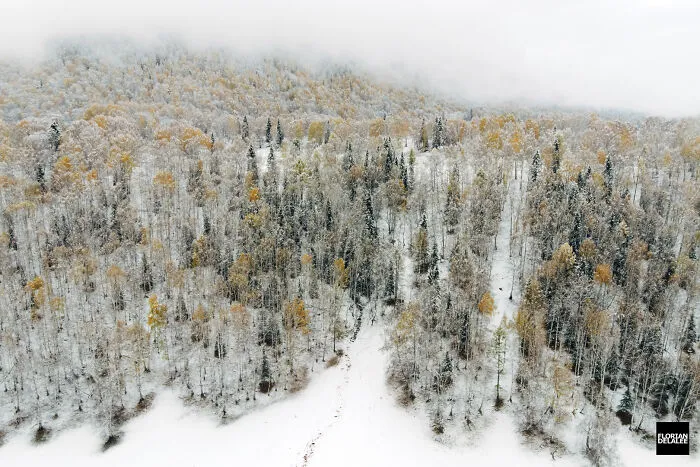Hemu, Xinjiang