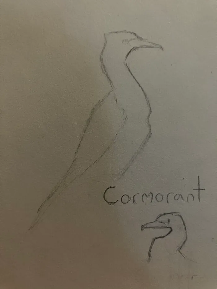 Ok I Promise This Is The Last One. More Birds!