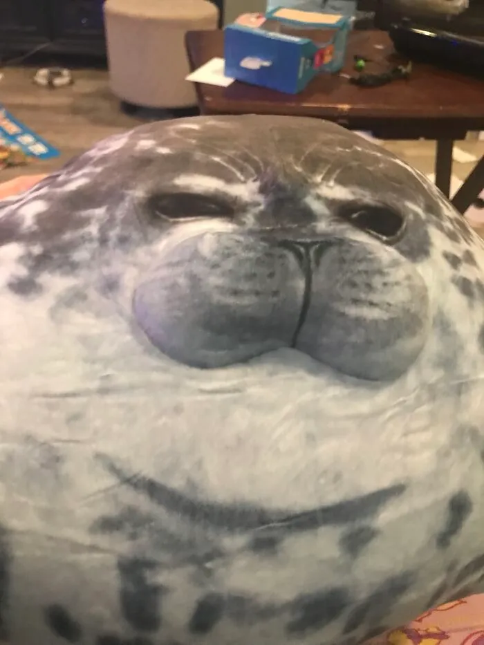 His Name Is Chungus Bartholomew Gustavo The First (Gus)