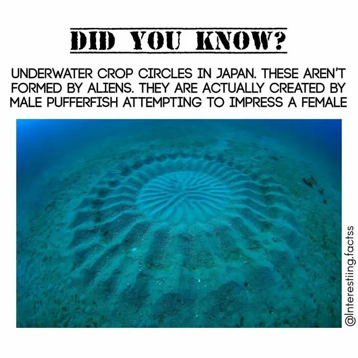 50 Interesting Facts About The World You Probably Didn’t Learn At School, As Shared By This Instagram Page