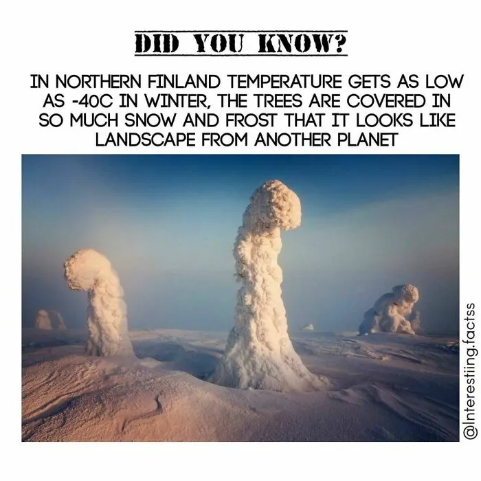 50 Interesting Facts About The World You Probably Didn’t Learn At School, As Shared By This Instagram Page