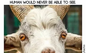 50 Interesting Facts About The World You Probably Didn’t Learn At School, As Shared By This Instagram Page