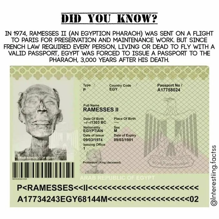 50 Interesting Facts About The World You Probably Didn’t Learn At School, As Shared By This Instagram Page