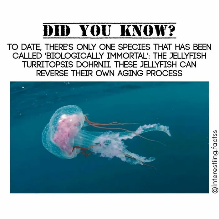 50 Interesting Facts About The World You Probably Didn’t Learn At School, As Shared By This Instagram Page