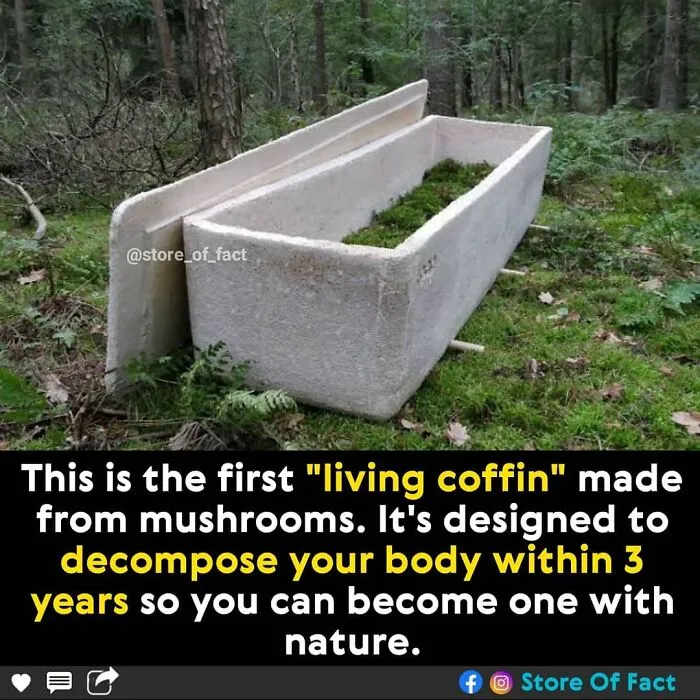 “Store Of Fact”: 50 Fascinating Bits Of Information That May Have You Learn Something New Today