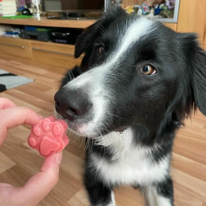 Make Frozen Bites