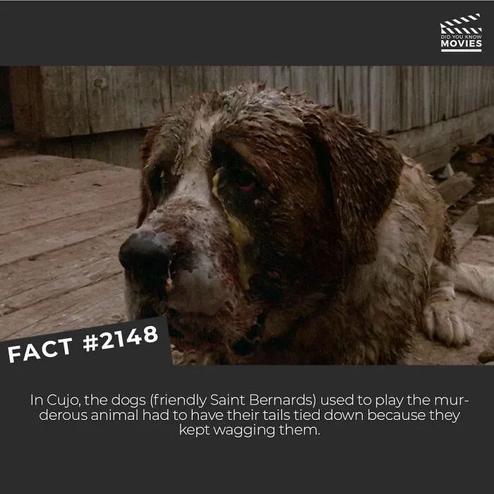 This Instagram Account Shares Little-Known Facts About Films And The Movie Industry, Here Are The 30 Most Interesting
