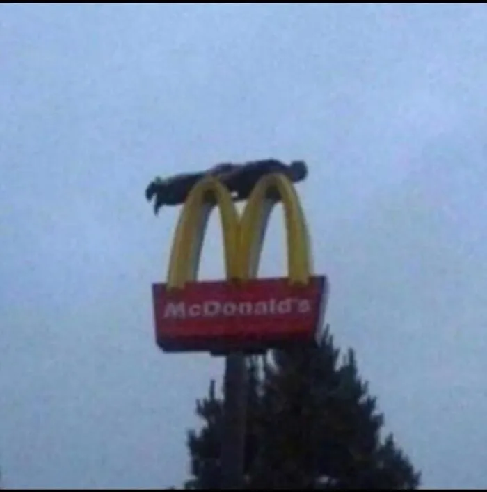 Mhacdondals