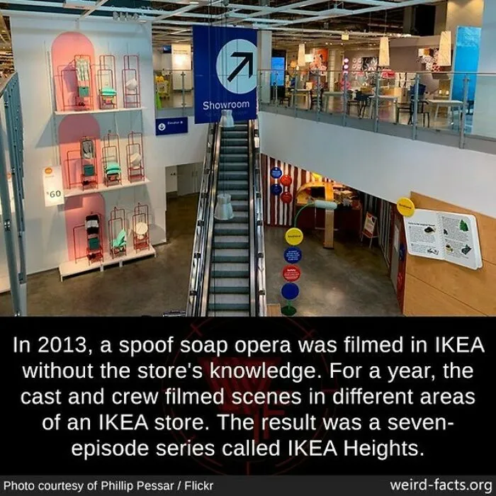 Weird-Interesting-Cool-Facts