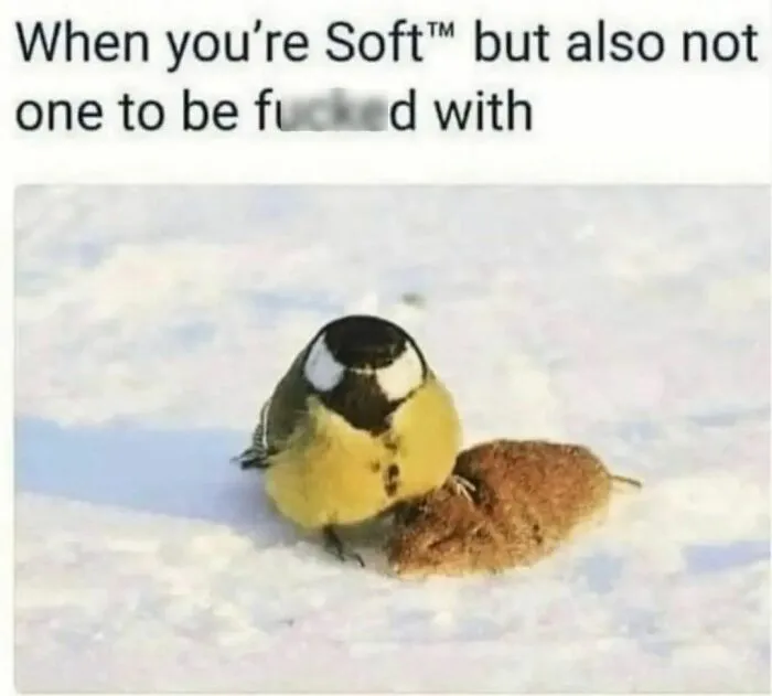 A small bird standing firmly on snow next to a captured mouse, illustrating a spicy memes concept of strength and toughness.