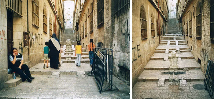 Surveillance Camera Camouflage, Jerusalem, 2006