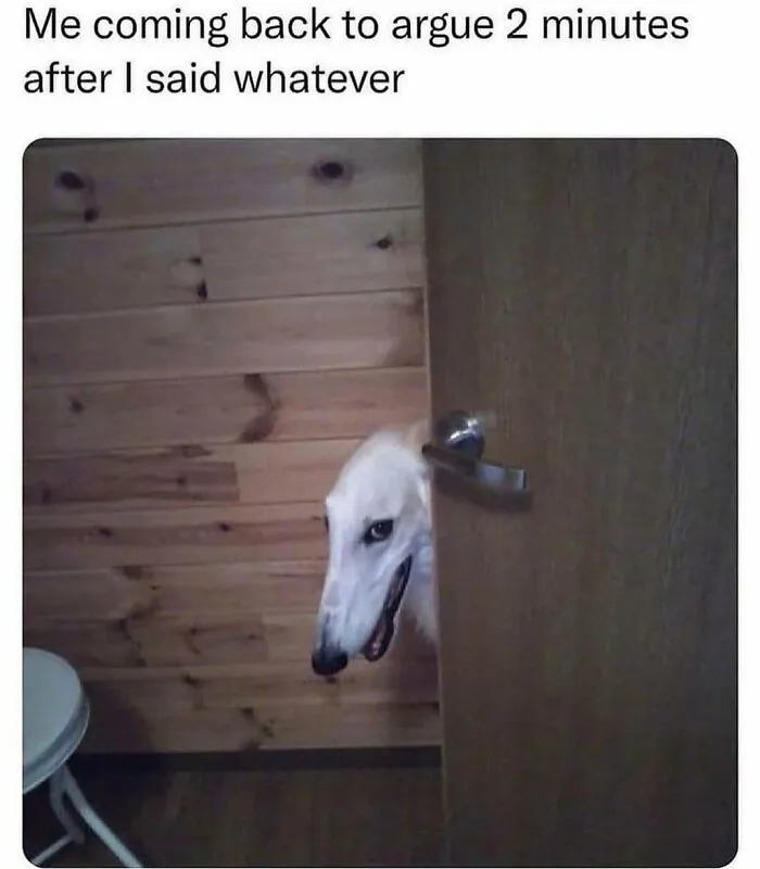 Dog peeking through wooden door with a mischievous look, capturing a relatable spicy meme moment to spice up your day.