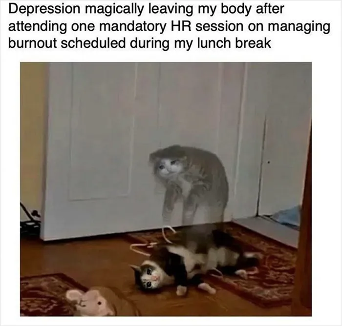 40 Chucklesome Memes Shared By A Facebook Page Called “Cheerful Nihilism”