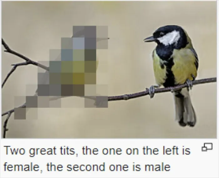 40 Chucklesome Memes Shared By A Facebook Page Called “Cheerful Nihilism”