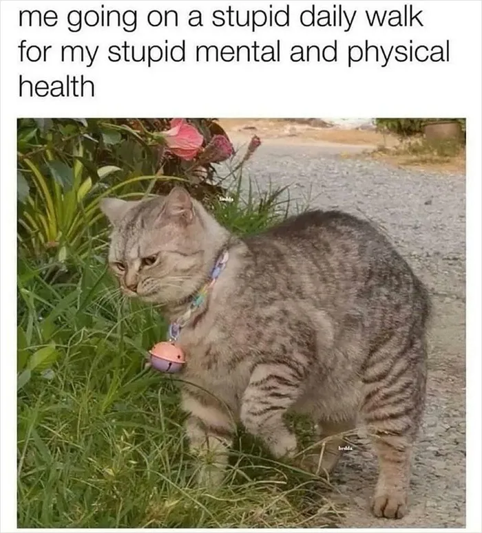 40 Chucklesome Memes Shared By A Facebook Page Called “Cheerful Nihilism”