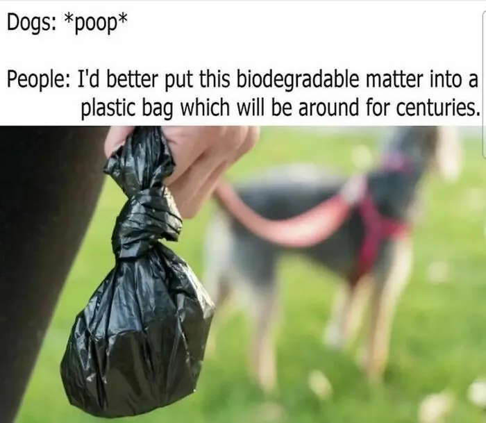 50 Ironic Pics That Perfectly Showcase The Absurdity Of Capitalism, As Shared On This Group