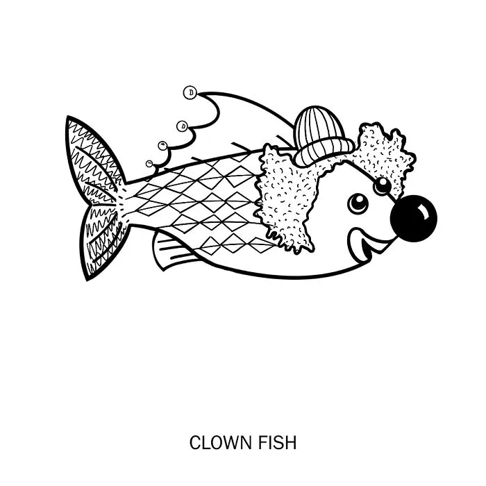 Clown Fish