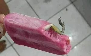 50 Of The Best “Chaotic Food” Pics That Might Raise A Few Questions (New Pics)