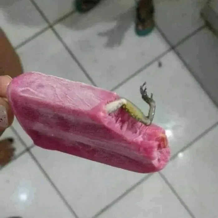 50 Of The Best “Chaotic Food” Pics That Might Raise A Few Questions (New Pics)